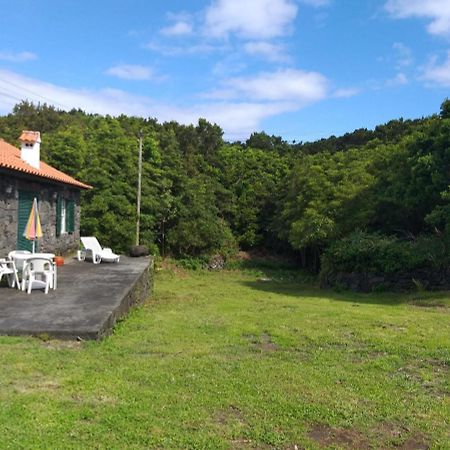 Azores Hibiscus House - Mountain And Sea 상호케도피코 외부 사진